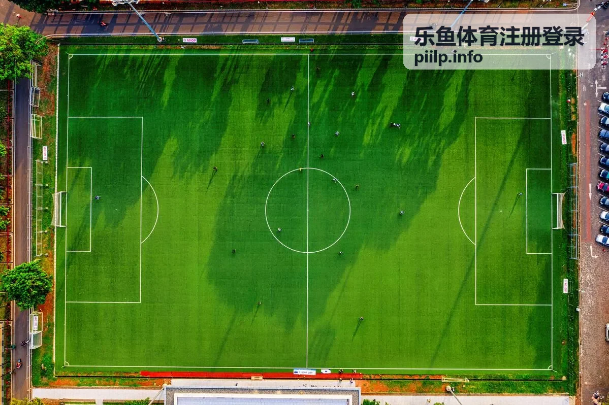 乐鱼体育账号安全防护